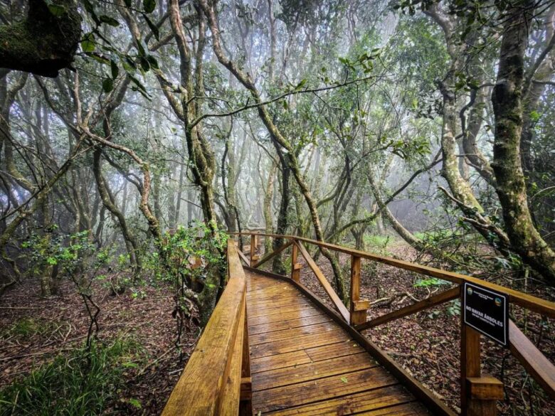 medio ambiente sur de Chile