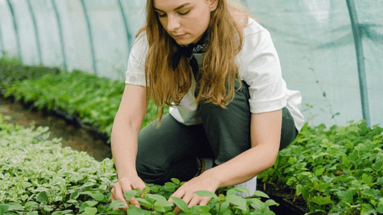 relevo generacional agricultura