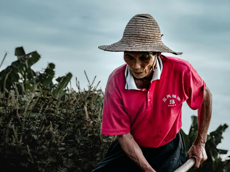 modernización agrícola China