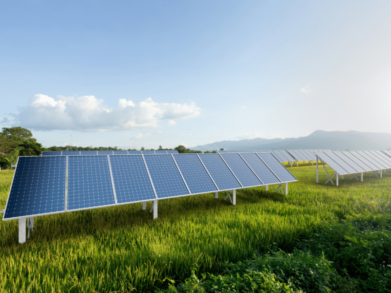 sostenibilidad agrícola