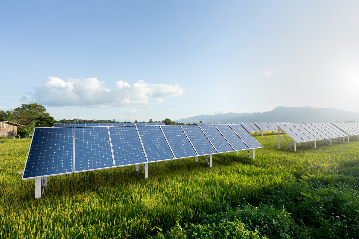 sostenibilidad agrícola