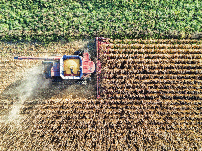 inteligencia artificial agro Chile