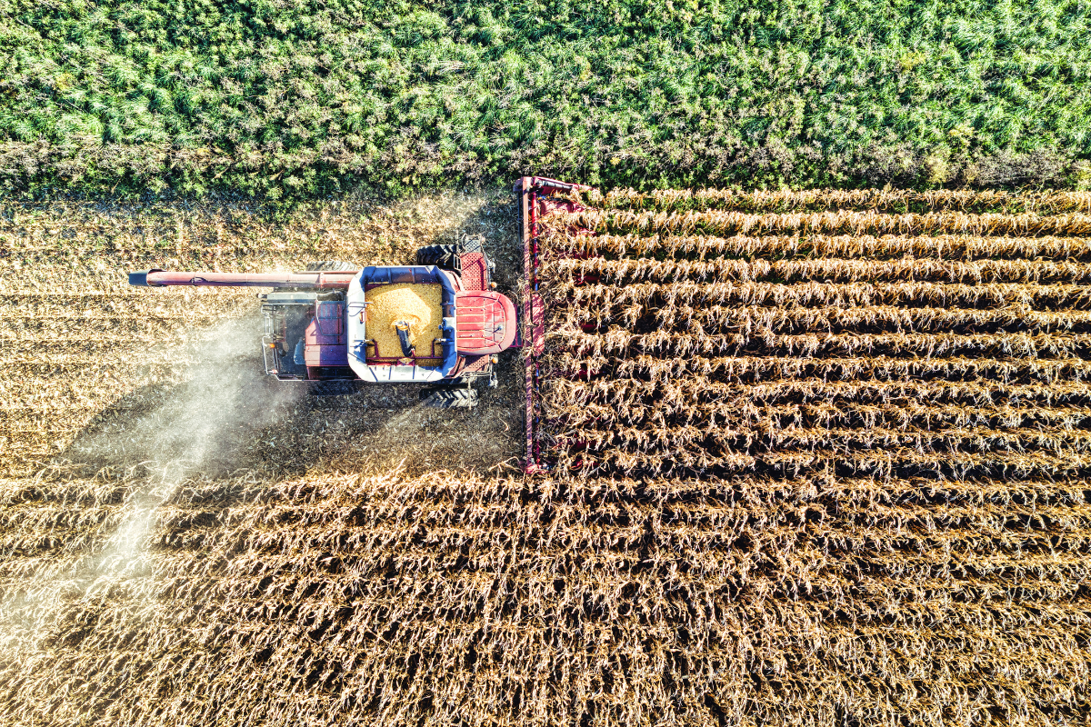 inteligencia artificial agro Chile