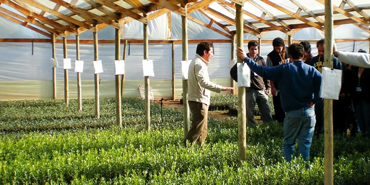 profesionales del agro