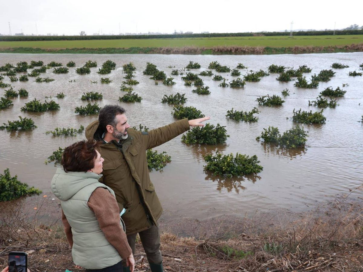 Temporal en España provoca daños agrícolas millonarios en Andalucía
