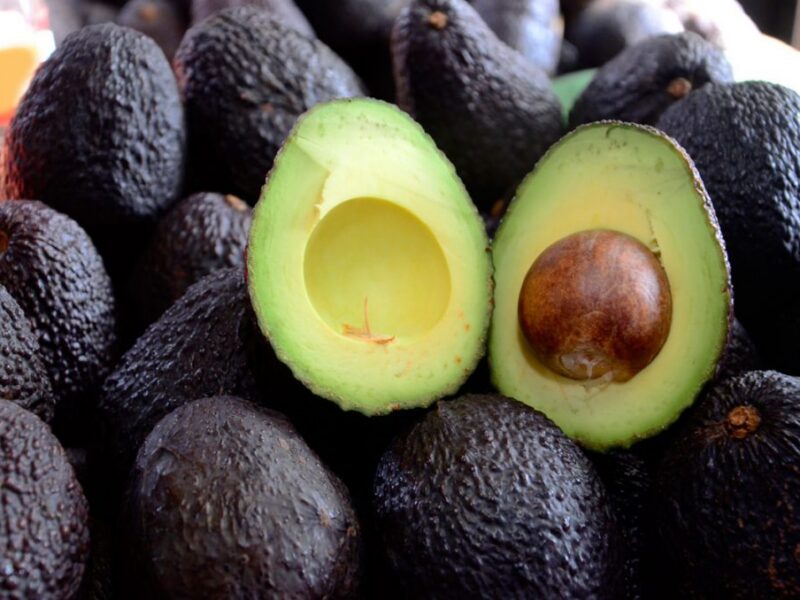 Consumo de palta Hass en Chile posiciona al país como segundo mayor consumidor del mundo