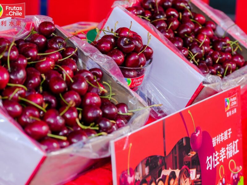 cerezas chilenas China