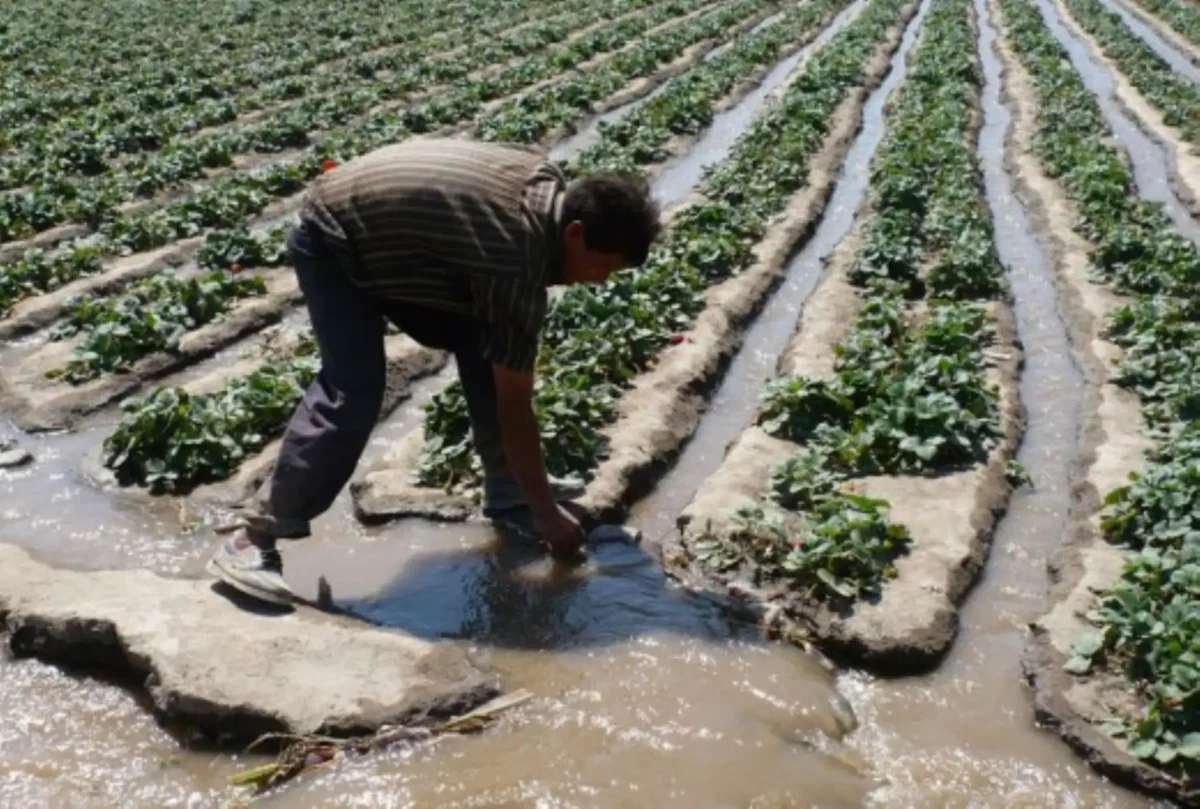 lluvias intensas exportaciones agrícolas