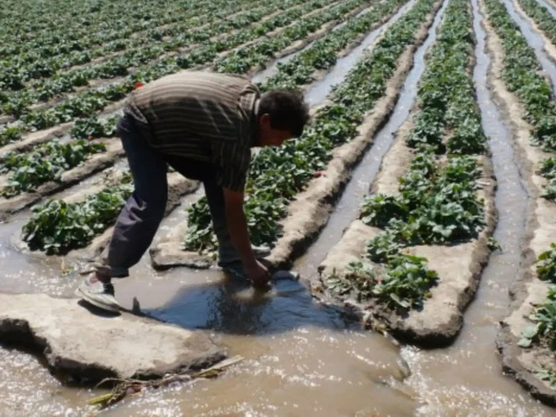 lluvias intensas exportaciones agrícolas