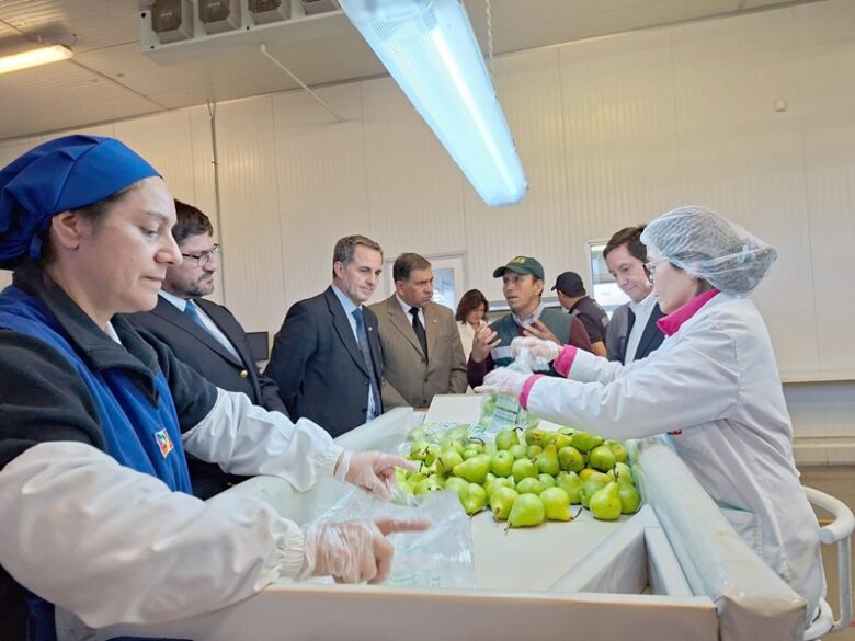 exportaciones frutícolas Chile Estados Unidos