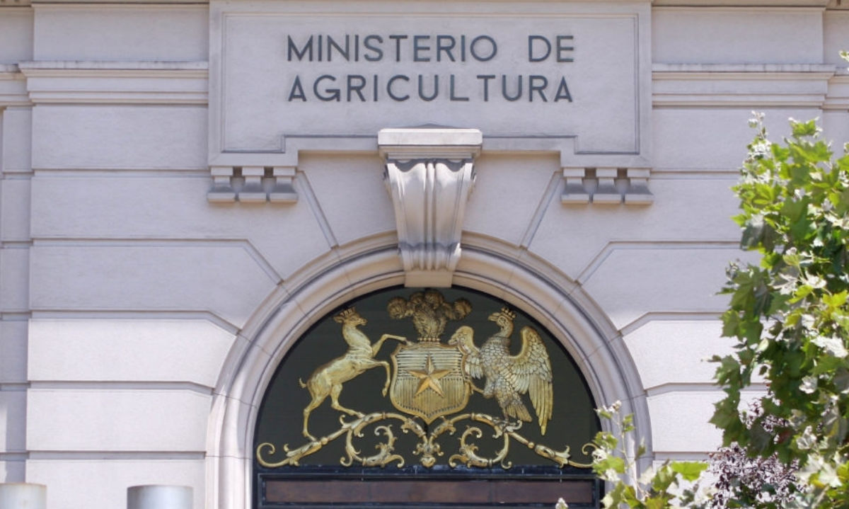 Avanza la discusión del nuevo reglamento de la ley de riego en Chile. Gremios buscan mayor eficiencia, menos burocracia y certeza hídrica.