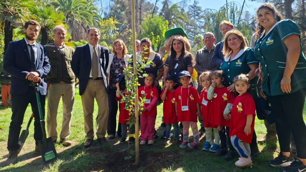restauración Jardín Botánico Viña del Mar