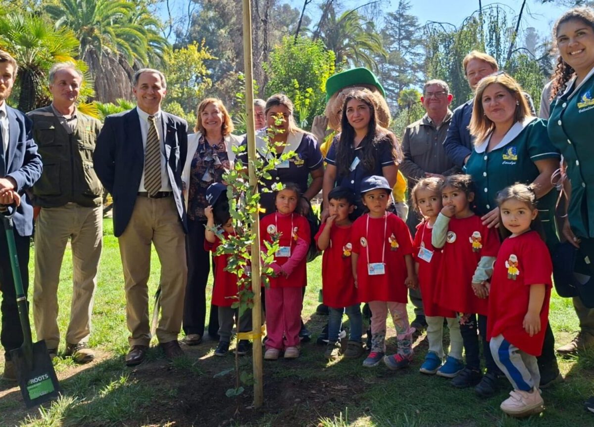 restauración Jardín Botánico Viña del Mar