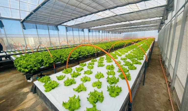 China y Etiopía crean un centro de innovación que integra agricultura, energías renovables y turismo, marcando un nuevo modelo de desarrollo