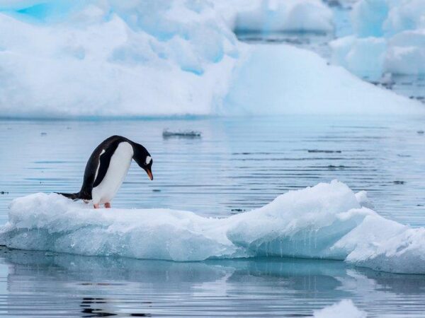 Olas de calor, glaciares en retroceso y un posible super niño configuran la peor amenaza en décadas para la seguridad alimentaria de Sudamérica