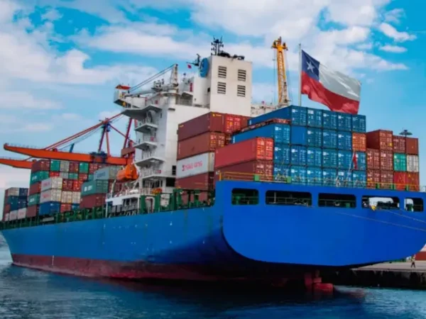 Chile sorprende al mundo liderando exportaciones globales en 25 productos