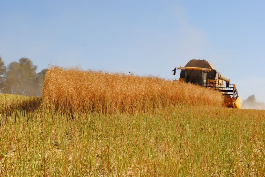 ChileBio afirmó que Chile tiene potencial para convertirse en hub de semillas editadas genéticamente por su regulación, ciencia y diversidad agrícola.