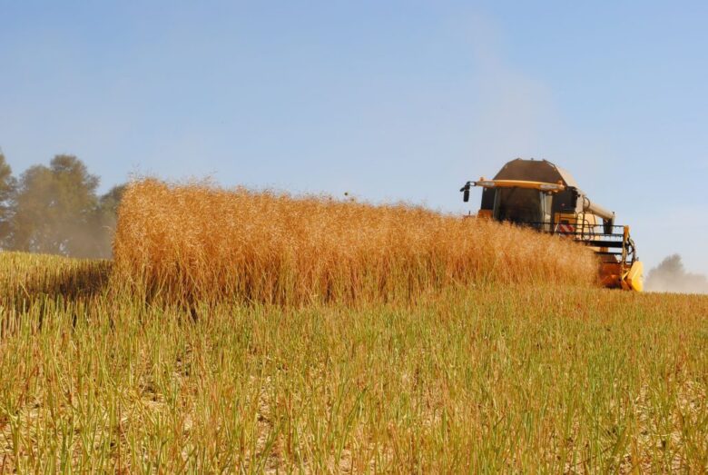 ChileBio afirmó que Chile tiene potencial para convertirse en hub de semillas editadas genéticamente por su regulación, ciencia y diversidad agrícola.
