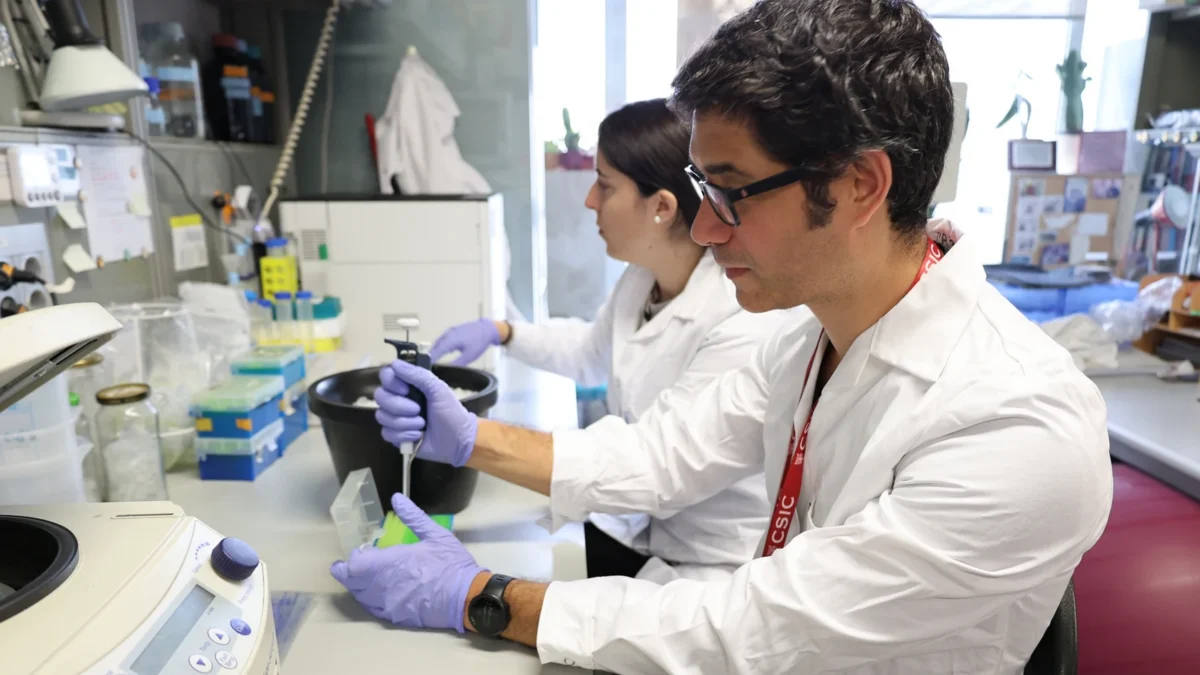 La nanotecnología agrícola busca mejorar el uso de fertilizantes, reducir pérdidas de nutrientes y avanzar hacia una producción más sostenible.