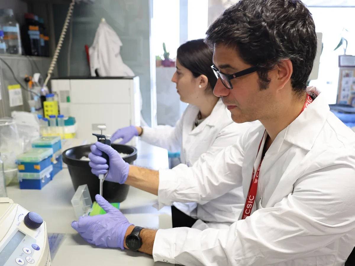 La nanotecnología agrícola busca mejorar el uso de fertilizantes, reducir pérdidas de nutrientes y avanzar hacia una producción más sostenible.