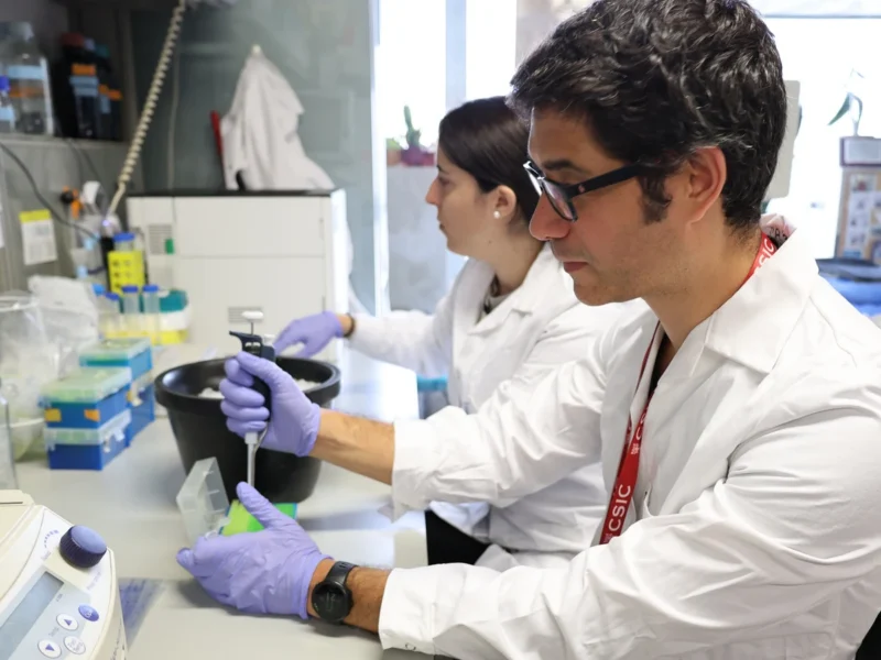 La nanotecnología agrícola busca mejorar el uso de fertilizantes, reducir pérdidas de nutrientes y avanzar hacia una producción más sostenible.