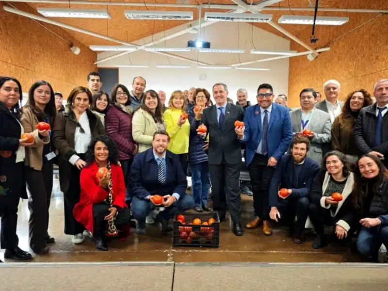 Valparaíso busca impulsar la exportación de tomate fresco con foco en calidad, innovación agrícola y nuevos mercados internacionales.