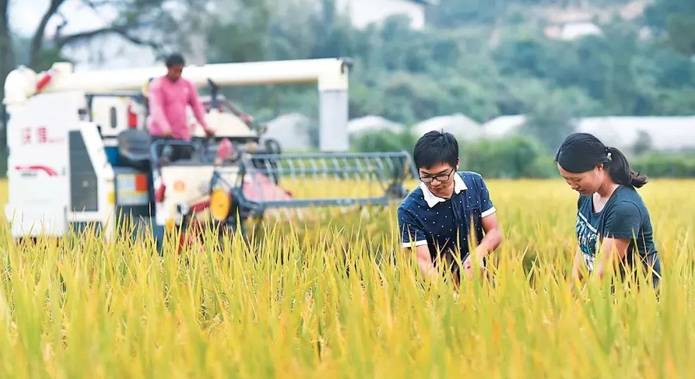 China endurece su estrategia sobre el azufre y genera preocupación en el mercado global de fertilizantes, afectando precios y agricultura