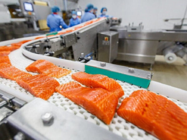 El salmón chileno rompe récords y lo hace justo cuando el vino cae: el nuevo motor exportador del país