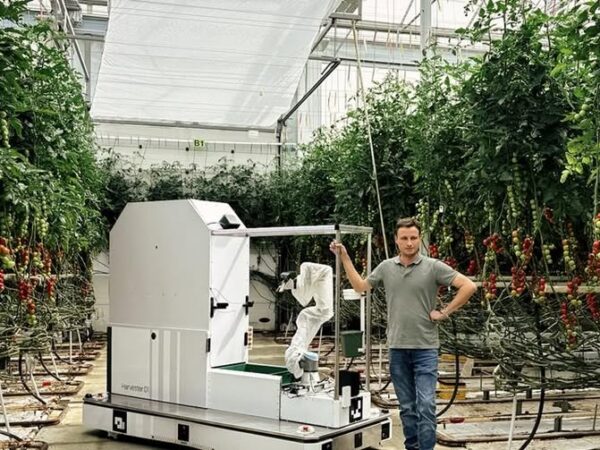 Un robot que trabaja 22 horas al día llega a los invernaderos de Europa para reemplazar la mano de obra que ya no existe