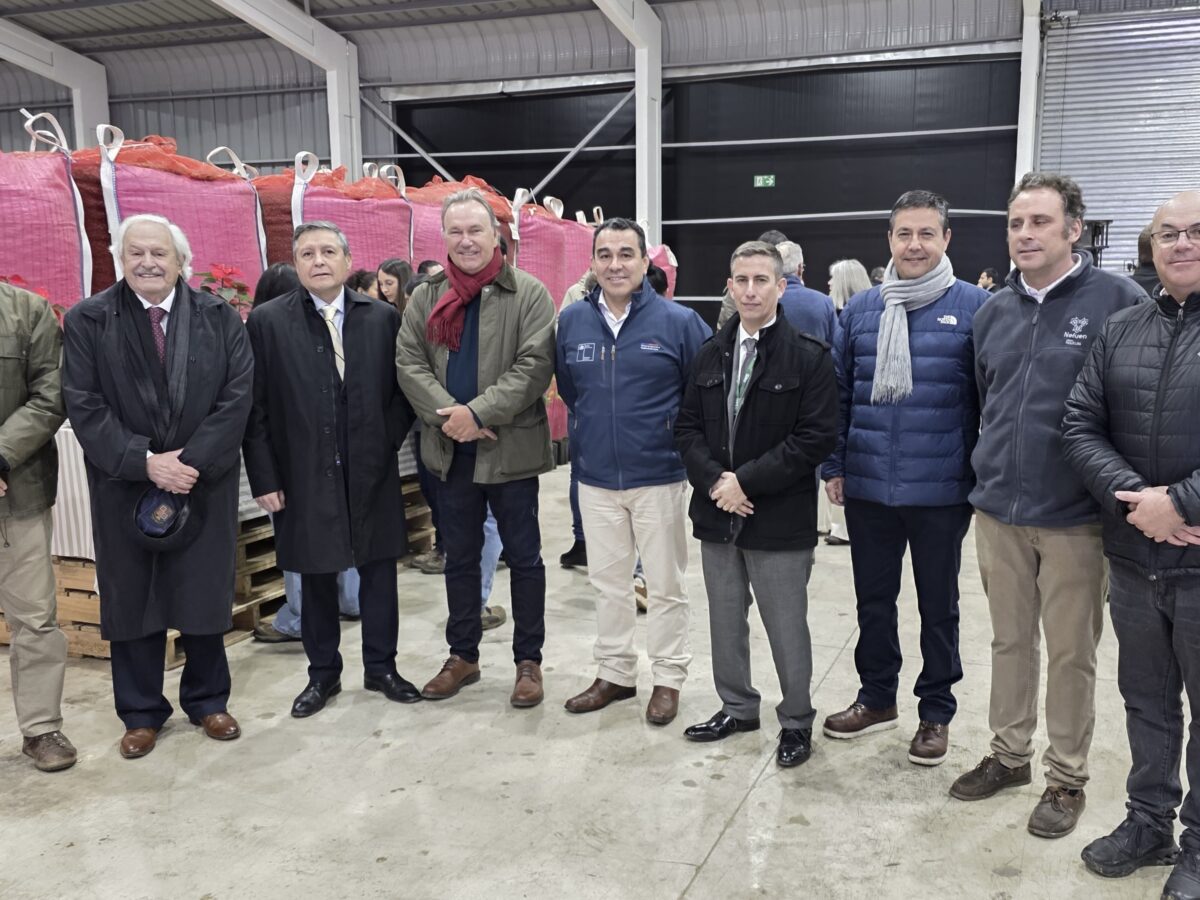Grupo Hijuelas inaugura en Chile la planta de  procesamiento de avellano europeo más austral del mundo