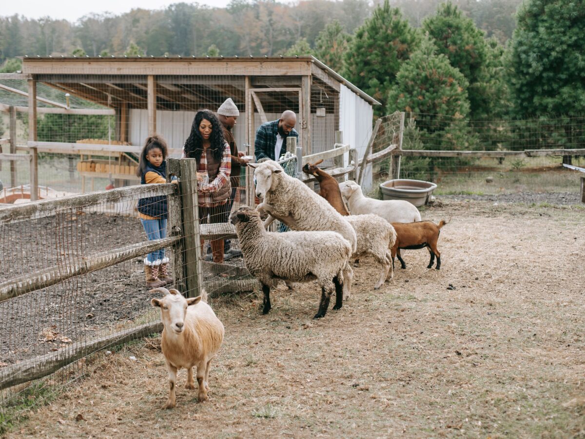 “Farm charm”, la tendencia que impulsa el agroturismo en América Latina y el mundo
