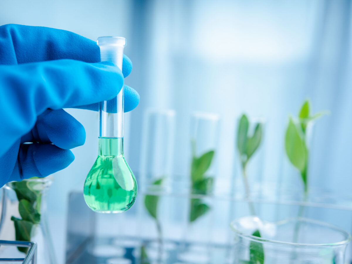 Lo que la biotecnología agrícola le aportó al mundo en tres décadas