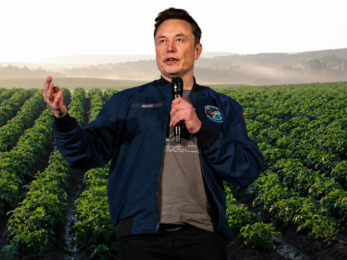Elon Musk y la agricultura espacial: el plan que empieza en un contenedor y termina en Marte