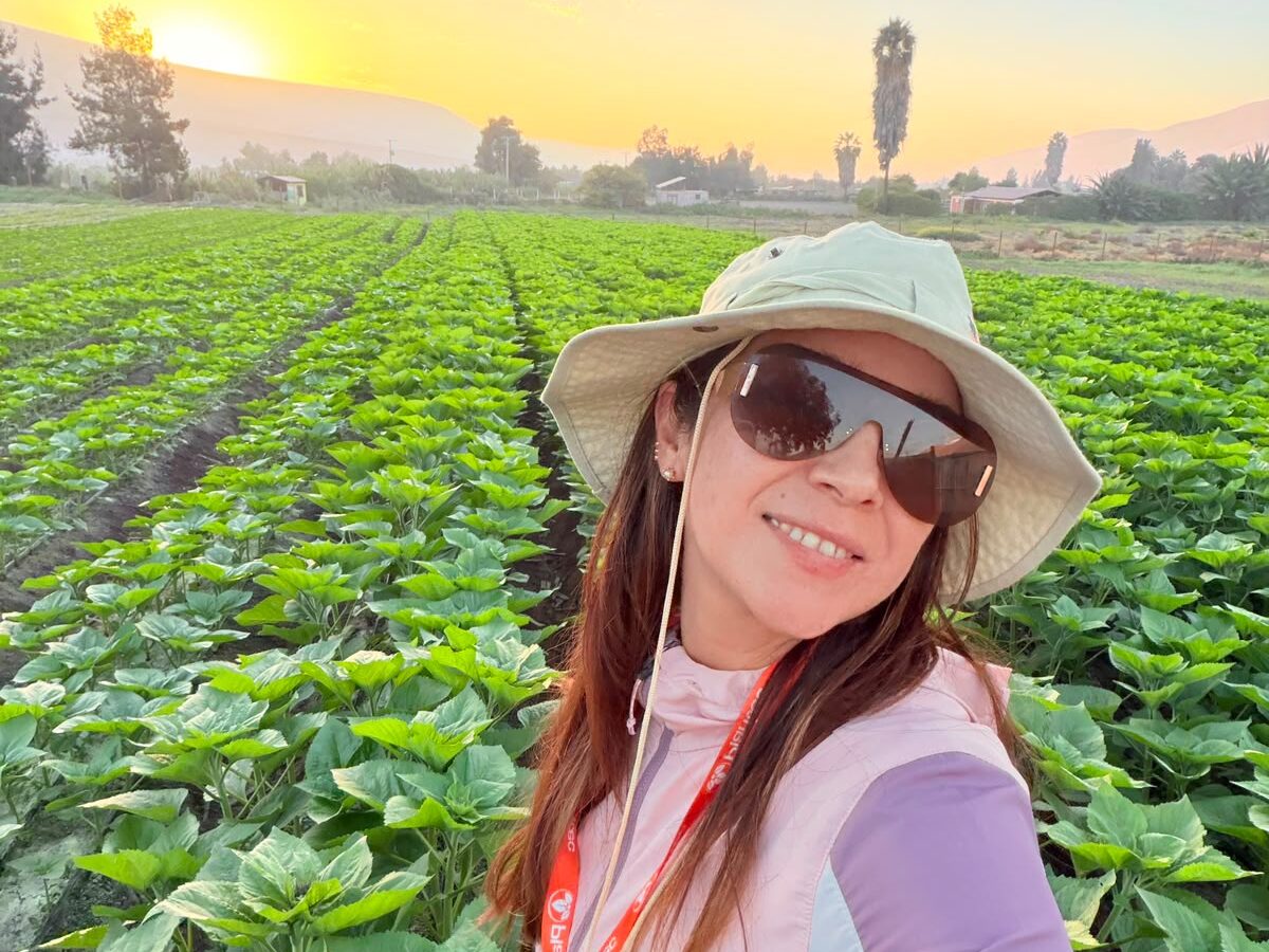 Carla Orellana, la divulgadora agrícola que muestra por qué Arica puede cultivar lo que el resto de Chile ni imagina