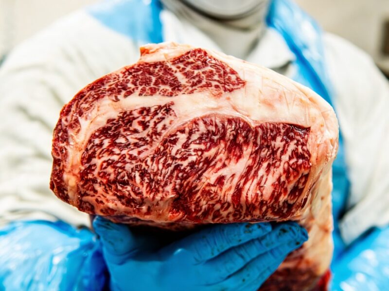 La carne Wagyu producida en Brasil conquista espacio en la alta gastronomía chilena