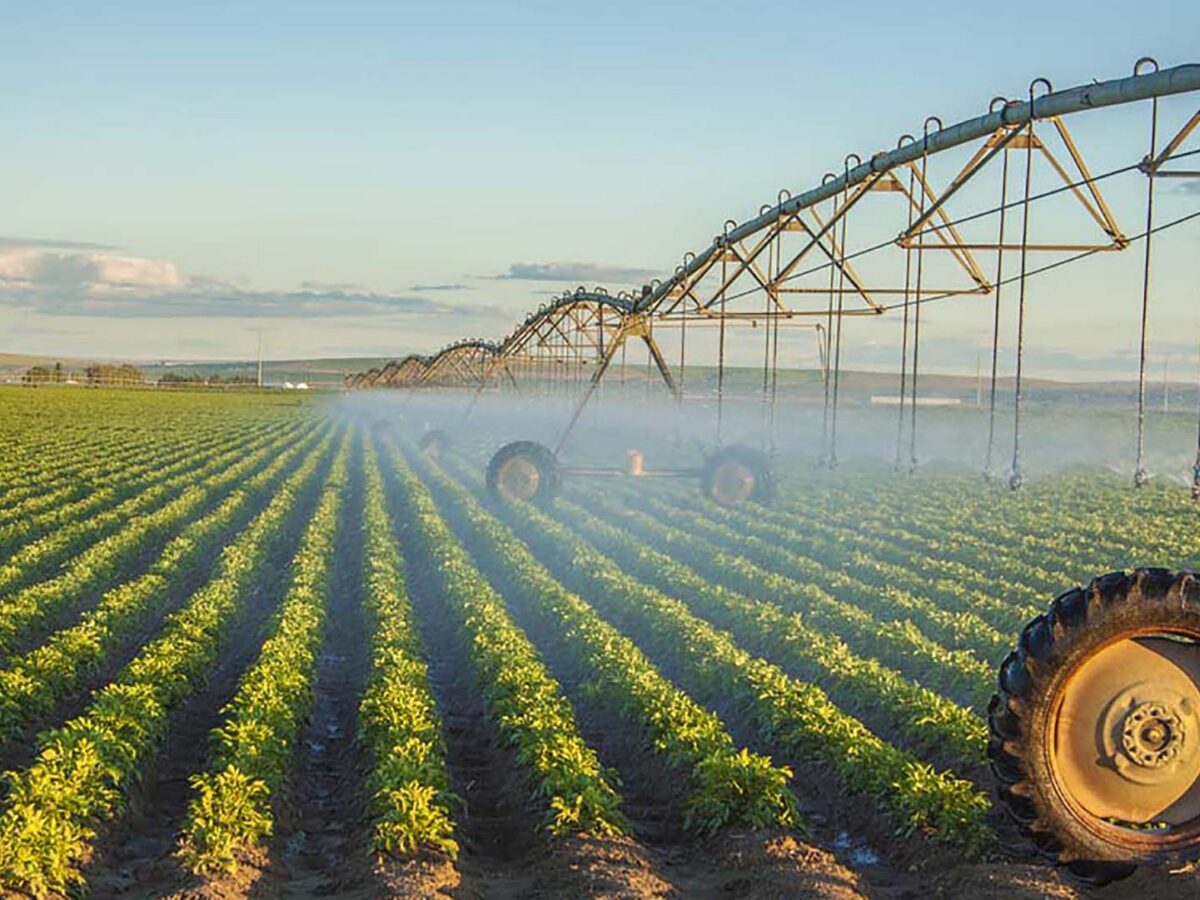Del pivote central al riego sin sensores, las tecnologías que definen el riego agrícola en el mundo