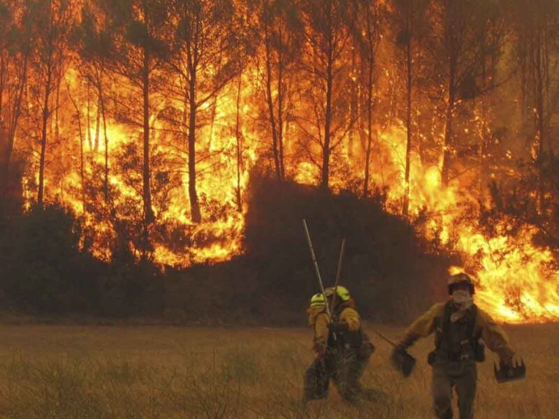 El planeta ya no tiene temporada baja de incendios