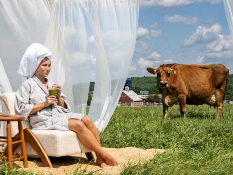 El spa para vacas que resume la nueva obsesión urbana por volver al campo