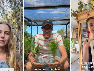 De la ciudad al huerto, 5 creadores de contenido que están reconectando a Chile con el campo