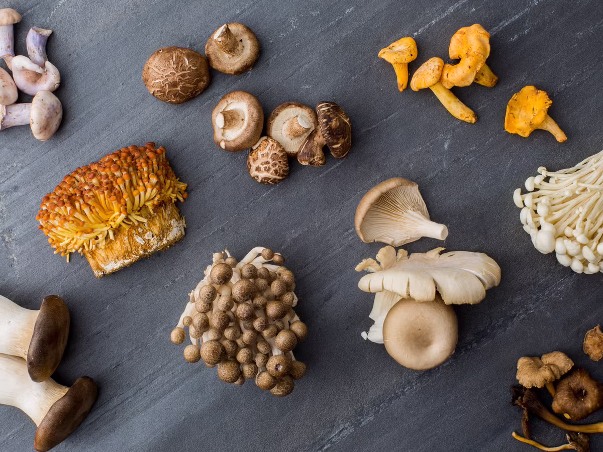 Los hongos adaptógenos, el ingrediente que promete ser el futuro de la alimentación funcional