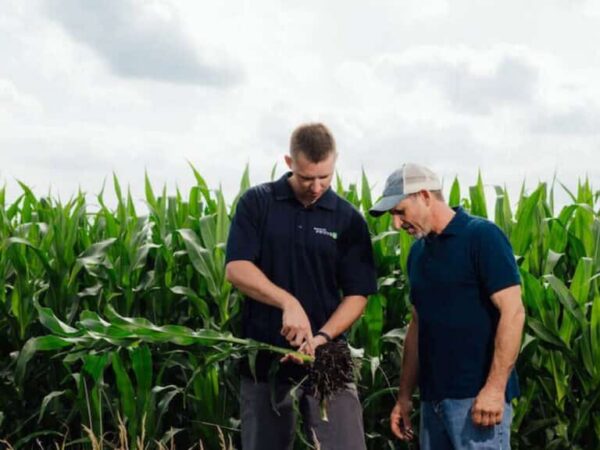 Pivot Bio, la empresa que convirtió microbios editados en un negocio de US$100 millones